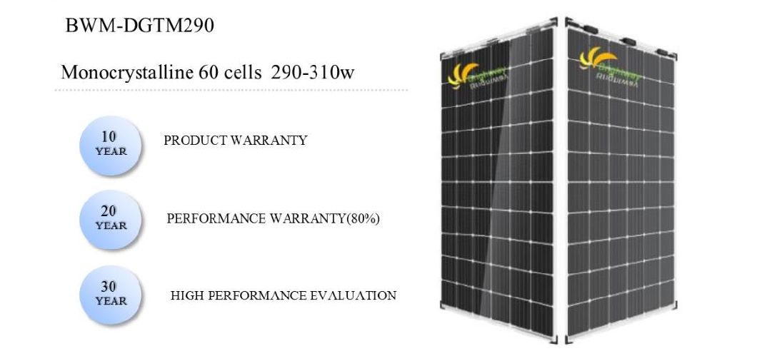 Painel solar transparente/monocristalino de vidro duplo 290W 